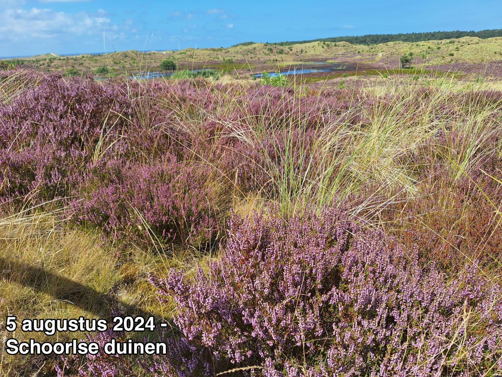 Groot Marquette - Noord Holland Aan Uw Voeten Warmenhuizen エクステリア 写真